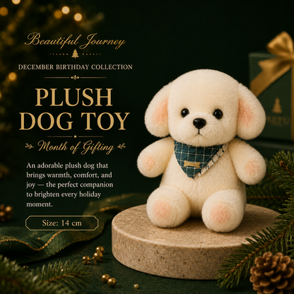 December Birthday Gift Box